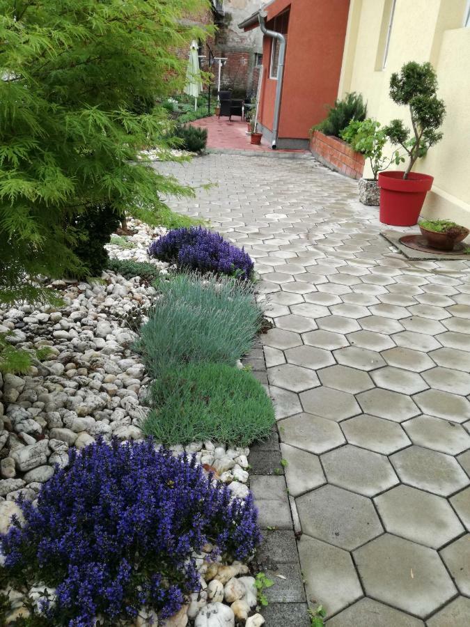 Apartman Centar Kruševac Exterior foto